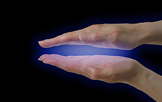 プロ養成コース